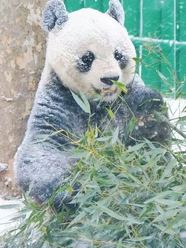 一年仅一次！这些人秋冬游西霞口有优惠！